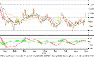 palladium tech pattern